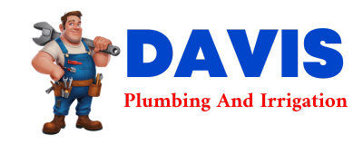 Trusted plumber in GRAY HAWK